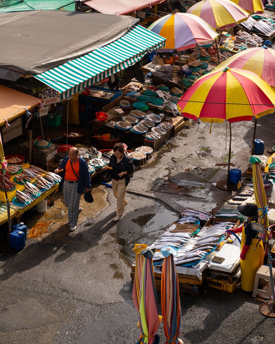 InsideAsiaTours's tweet photo. The vibrant Gamcheon Culture Village nicknamed ‘Korea's Santorini’, is a sprawling neighbourhood brimming with art installations, murals, sculptures, cute cafés, maze-like alleys, winding staircases, and independent shops. 

Add this to your next trip ➡️ https://t.co/xxX4kQ7bbq https://t.co/s0iGNUigfU