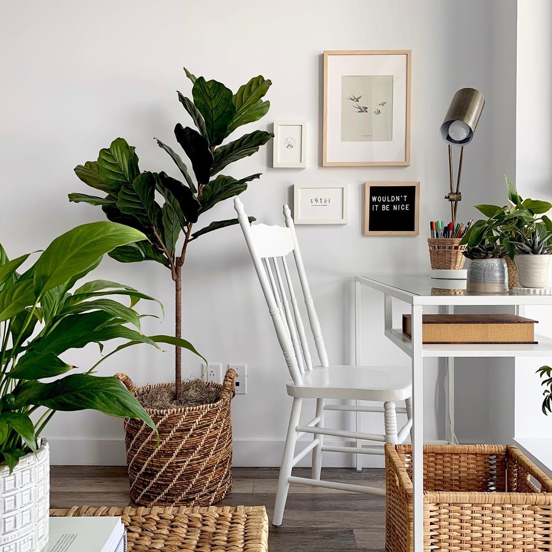 BalticClub's tweet photo. 🌿✨ Dans les petits espaces, chaque détail compte. Une affiche 8x10" de notre collection ajoute une touche personnelle et apporte joie et inspiration ! 🌱🖼
#BalticClub #DécoBureau #PetitsEspaces https://t.co/12epbcXBsE