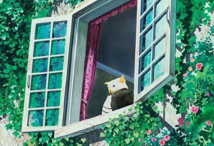 cat getting fade tweet media