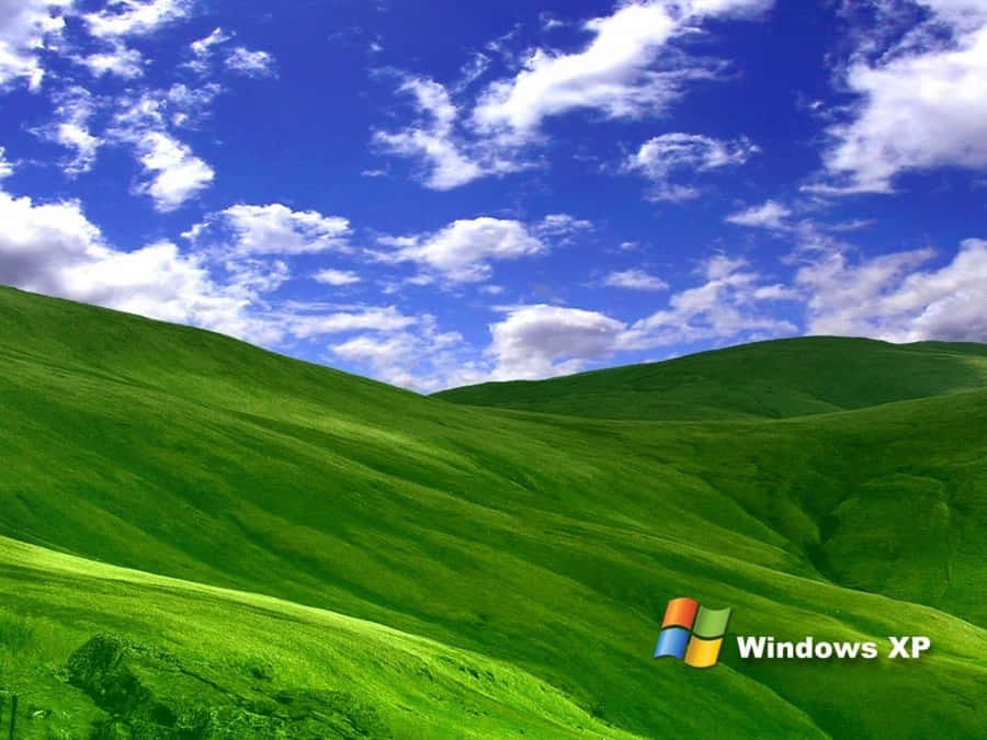 RajeevSinghBenQ's tweet photo. Did you know the iconic Windows XP wallpaper has a name? The photo, named Bliss, was captured in California by @NatGeo photographer Charles O'Rear in 1996, then sold as a stock photo to image licensing agency Corbis. Microsoft purchased it in 2000.
#TechTrivia #windowxp #tech https://t.co/S1G5siIpD3