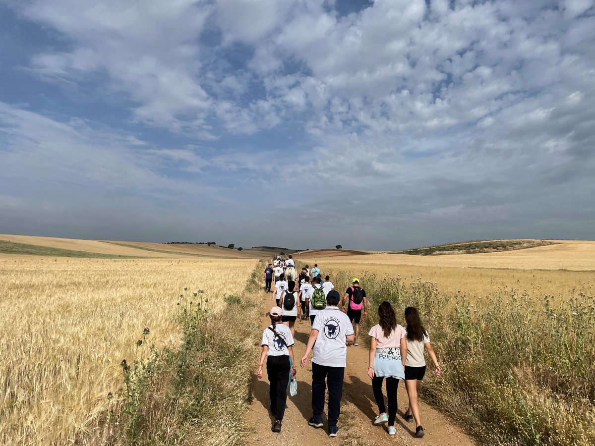 elquiteyunquera's tweet photo. 📣 UN CENTENAR DE PERSONAS CONOCIERON "LA BAJADA" CON LA PEÑA TAURINA EL QUITE 

🔝 La 2ª Excursión Infantil no pudo tener mejor acogida: más de 100 participantes y un tiempo inmejorable para conocer más a fondo "La Bajada".

📸 https://t.co/b1IZ0hqfVV
🌐 https://t.co/SFplLiYeC4 https://t.co/PiAlPWCGao