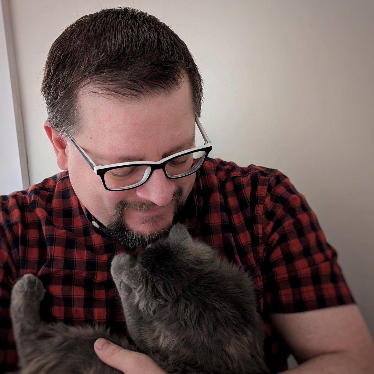 Sarah Rums tweet media