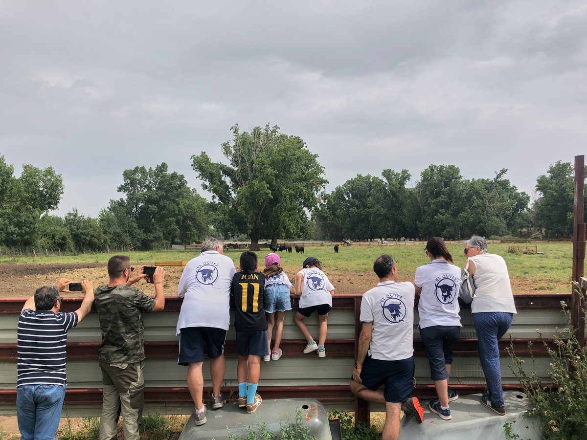 📣 UN CENTENAR DE PERSONAS CONOCIERON "LA BAJADA" CON LA PEÑA TAURINA EL QUITE 

🔝 La 2ª Excursión Infantil no pudo tener mejor acogida: más de 100 participantes y un tiempo inmejorable para conocer más a fondo "La Bajada".

📸 photos.app.goo.gl/nCsyuXig1nf4VB…
🌐 wp.me/pbk9aS-A9