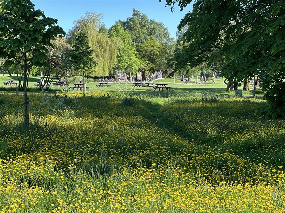 Perth and Kinross Council tweet media