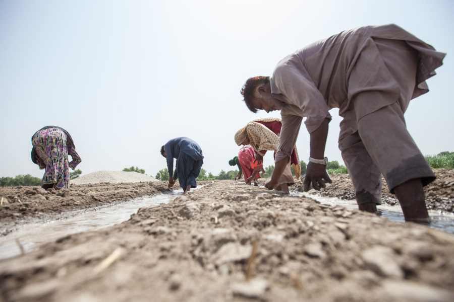 CommonShare (@commonshare_) on Twitter photo Research by Dr. Muhammad Asim Yasin at COMSATS University compares 225 <a href="/BCICotton/">Better Cotton</a> farms with 225 conventional farms, highlighting impacts on health costs. 👉🏼 buff.ly/3xctFQi
#BetterCotton #SustainableFarming #CottonIndustry #SustainableSupplyChains Research by Dr. Muhammad Asim Yasin at COMSATS University compares 225 <a href="/BCICotton/">Better Cotton</a> farms with 225 conventional farms, highlighting impacts on health costs. 👉🏼 buff.ly/3xctFQi
#BetterCotton #SustainableFarming #CottonIndustry #SustainableSupplyChains