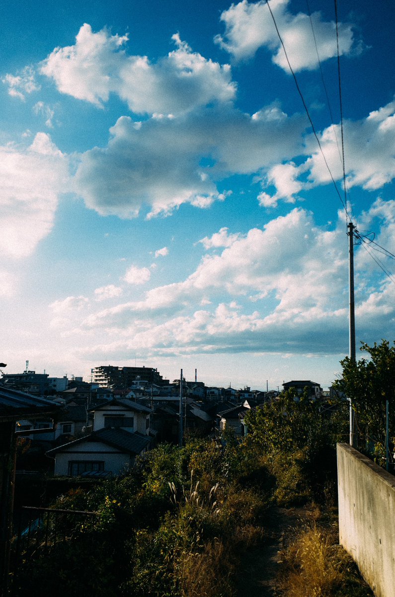 ゆた。 tweet media