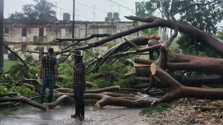 SanchezDol86052's tweet photo. Las lluvias que nos afectan con fuertes vientos, provocaron la caída de un árbol cerca del área de la feria por calle 35 ha sido rápida acción del Poder Popular, CAM, junto al apoyo incondicional de Comunales que siempre estamos en 1ra línea.
#JuntosSomosMásFuertes
#GEArtemisa https://t.co/bvIBwn1qlo