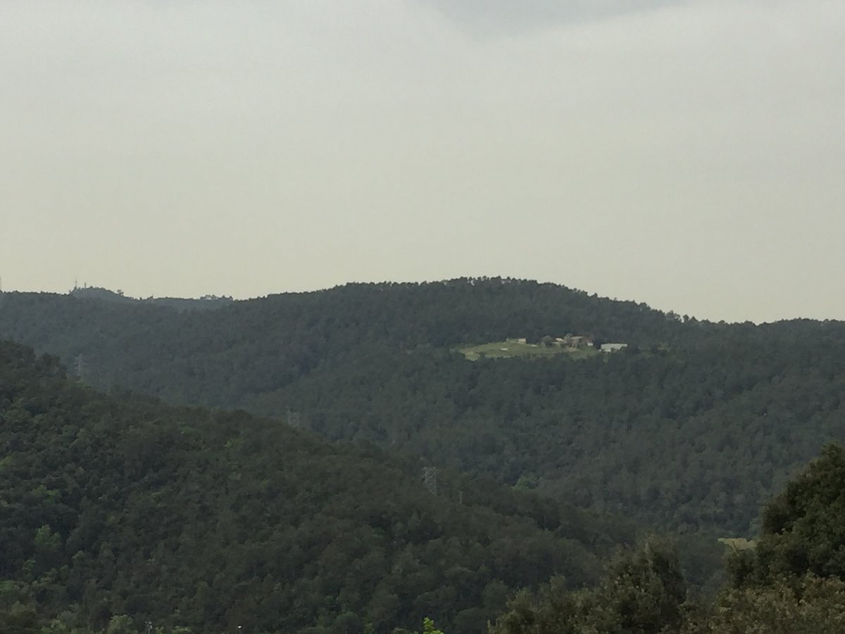 Roger Vinton 🎩 tweet media