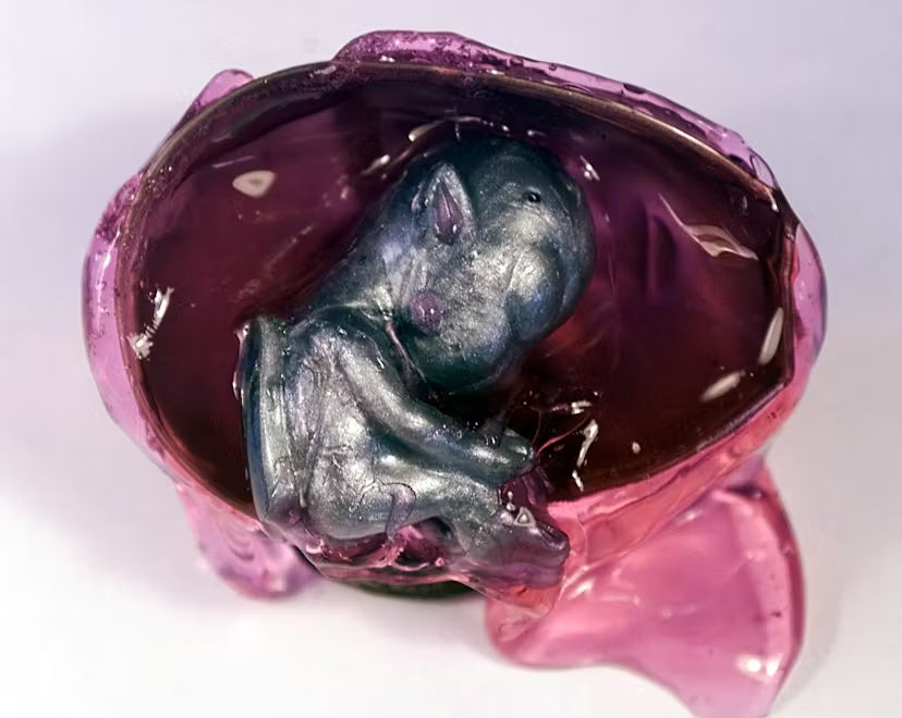 churnwell's tweet photo. Rishi: "My poor parents wouldn't buy me one of those alien embryos in slime from the '90s. I had to go without." https://t.co/3iYiyyY8xE