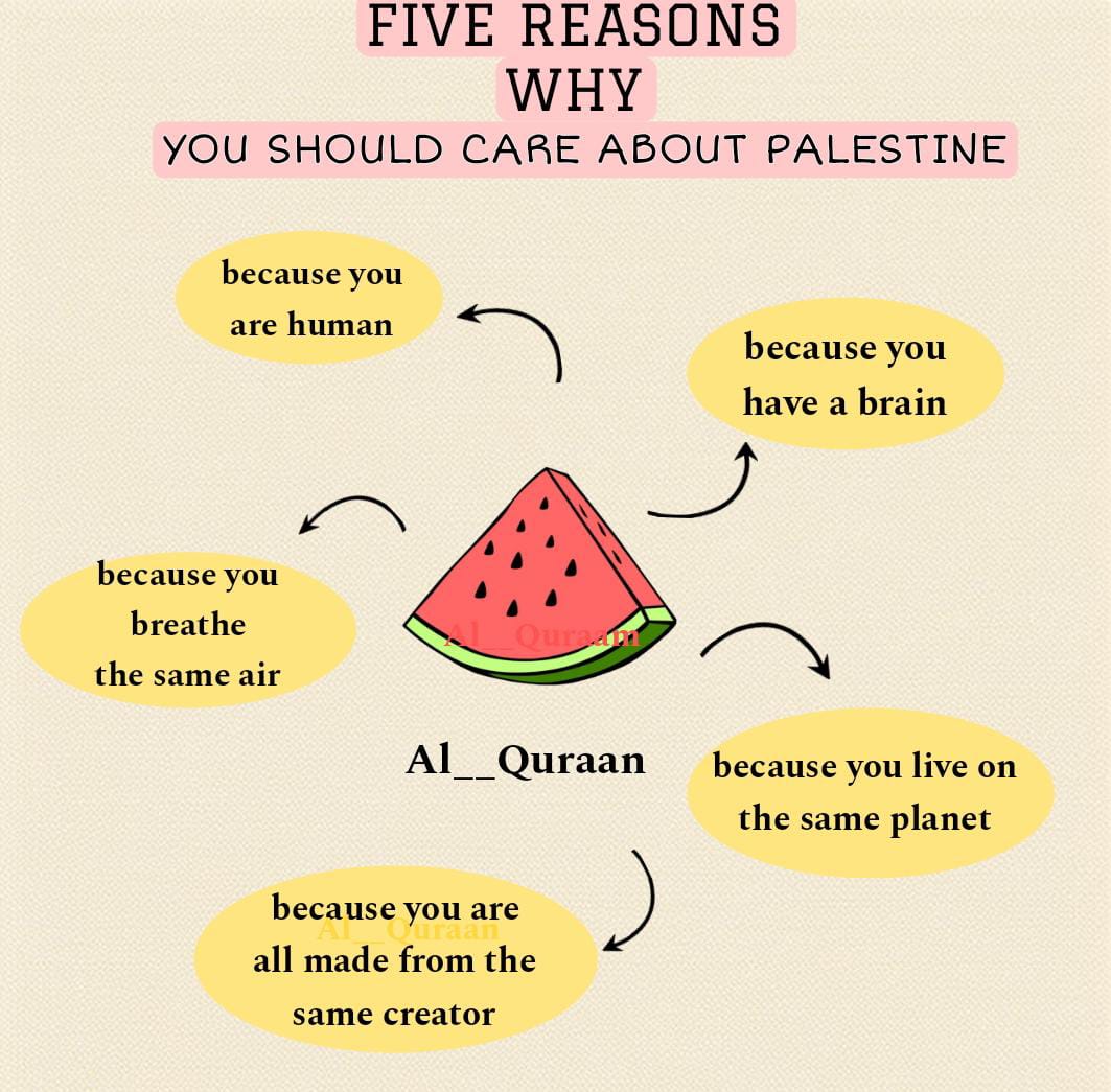 Al__Quraan's tweet photo. 🇵🇸 https://t.co/CEfBzoxvuj