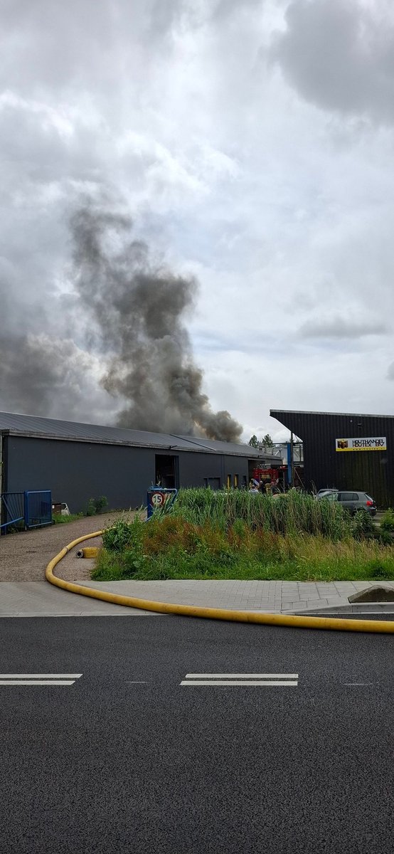 Hotzenwalder ⓥ Ⓦ tweet media