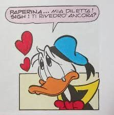 just have to live day by day. Like in the cartoons he’s a bit selfish but in the end he loves everyone in his family. We love him because Mickey is written as a boring character while Donald is something like Peter Parker, always trying is best despite everything.
