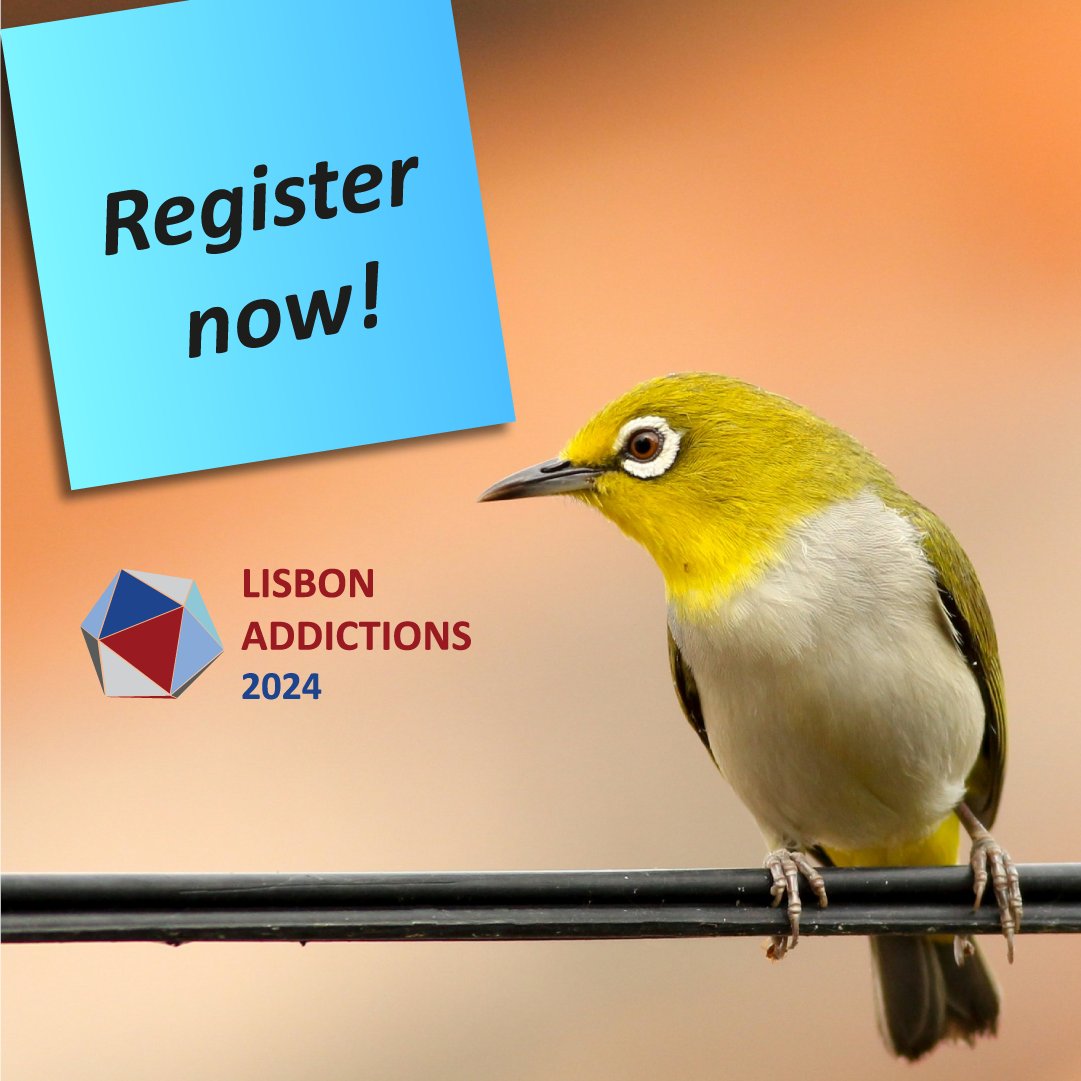 Lisbon Addictions tweet media