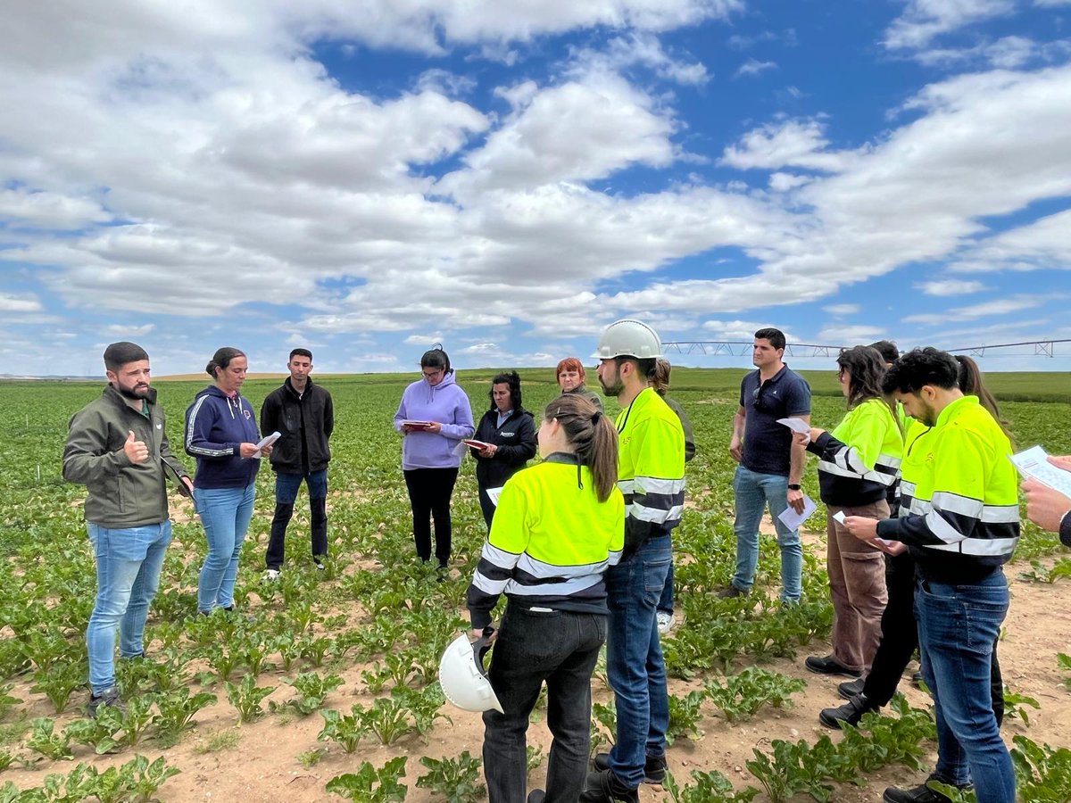 Hoy visitamos el campo de ensayo de Torrecilla de la Abadesa (Valladolid) y analizamos la eficacia de diferentes herbicidas en #remolacha para conseguir el mejor control de las malas hierbas. Junto a nuestros técnicos y socios buscamos las mejores aplicaciones #agricultura #campo