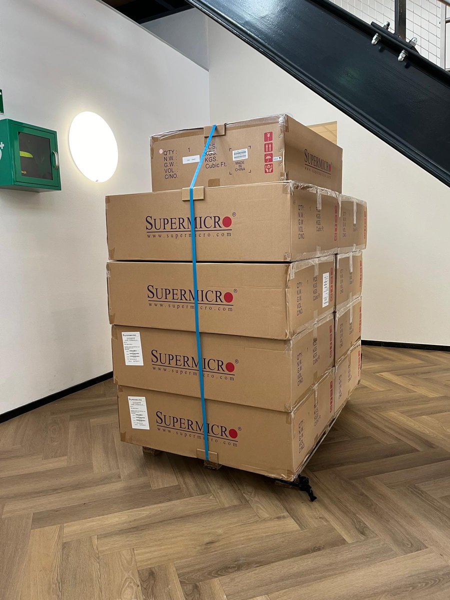 zylon internet tweet media