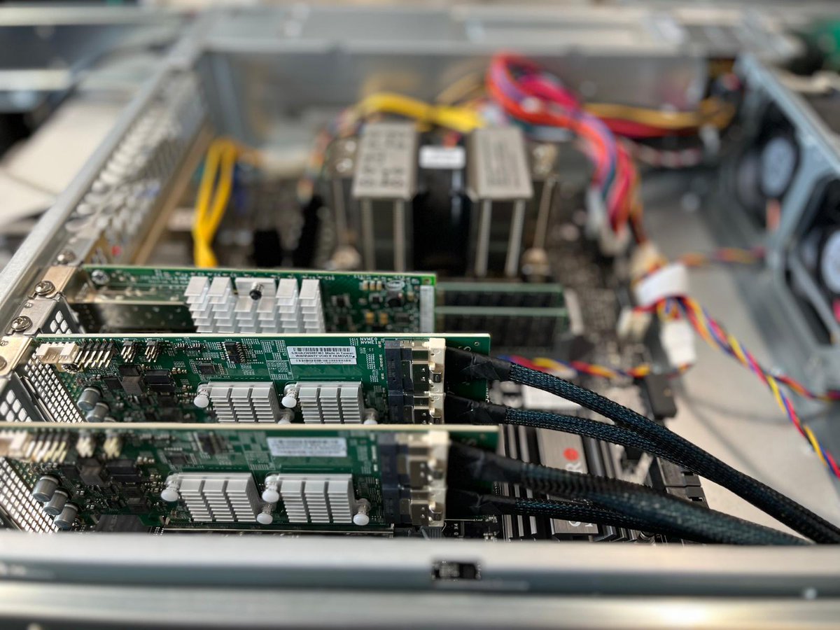 zylon internet tweet media