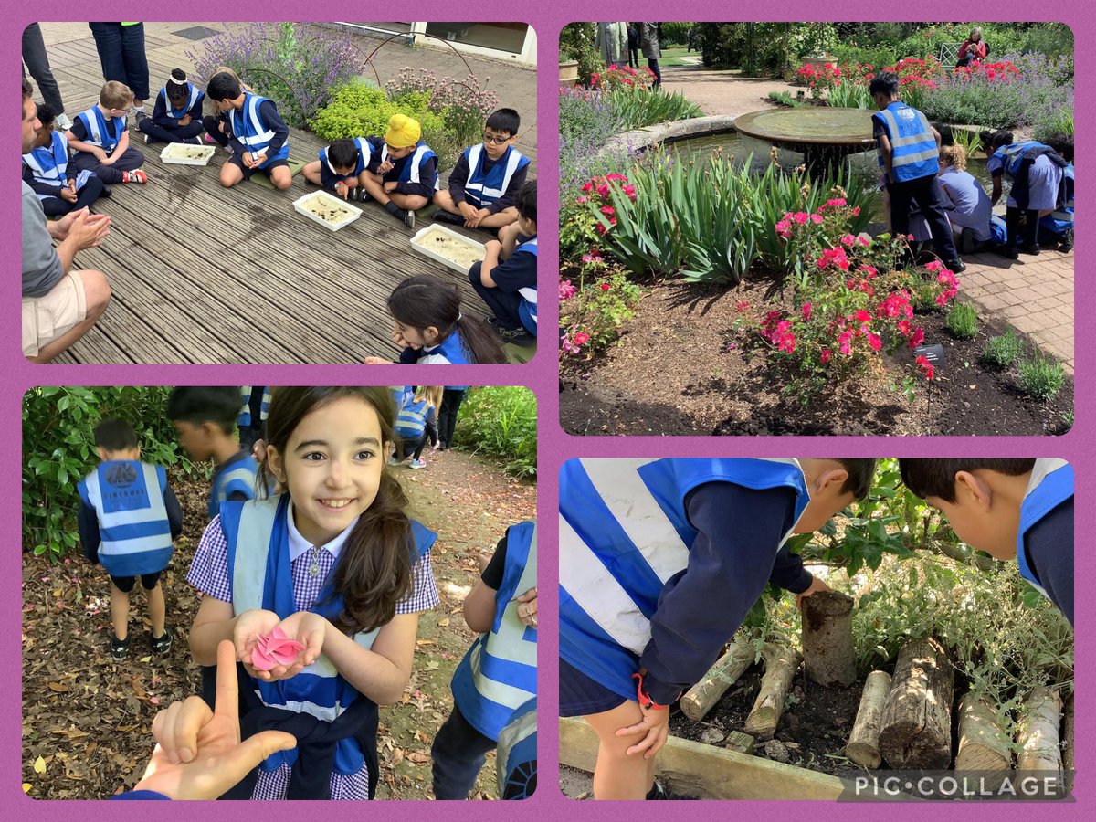 Y2@fircroft.family tweet media