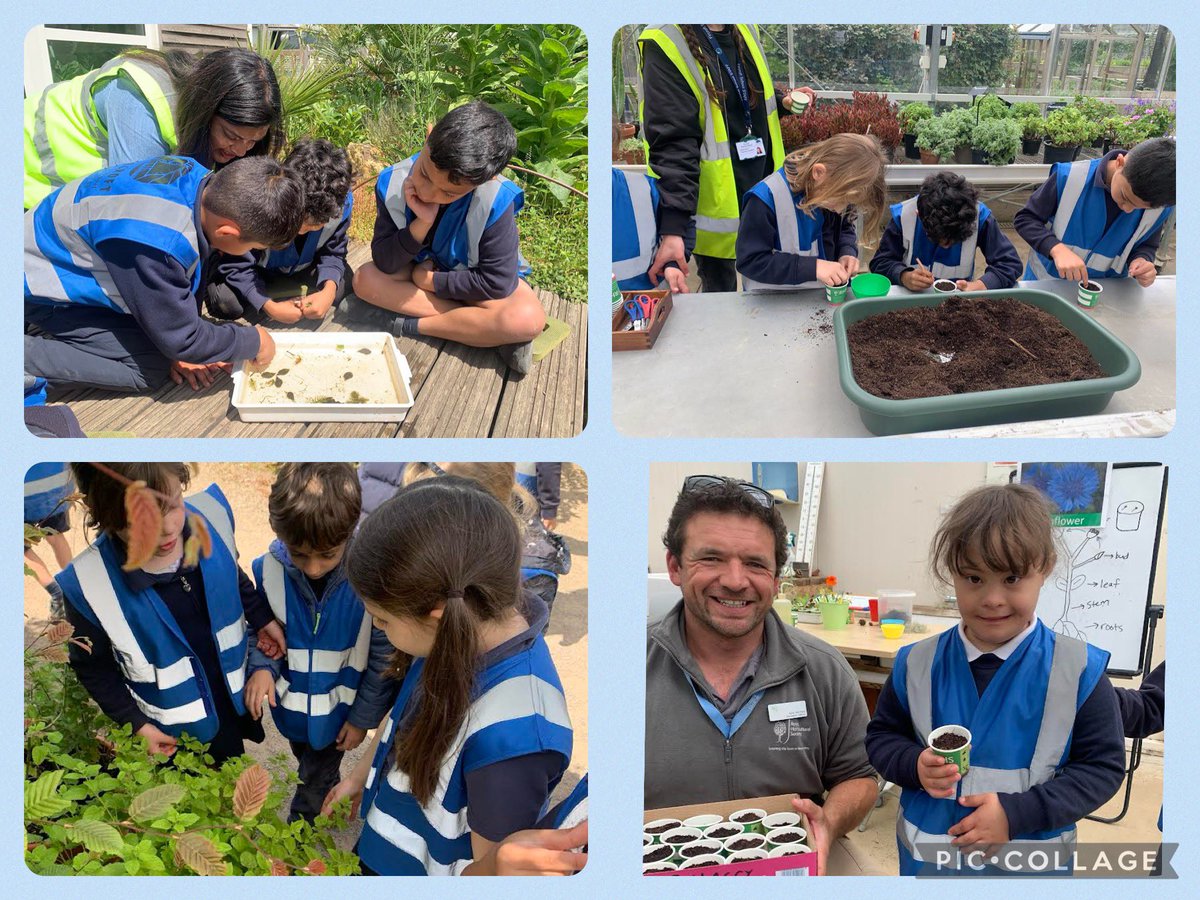 Y2@fircroft.family (@y2_fircroft) on Twitter photo Year 2 RHS Wisley gardens trip! What a wonderful time we had exploring the gardens, pond dipping, planting seeds and looking at micro habitats! There were some tired children on the journey home, but the children loved the whole day! <a href="/RHSWisley/">RHS Garden Wisley</a> <a href="/fircroftSW17/">Fircroft Primary</a> Year 2 RHS Wisley gardens trip! What a wonderful time we had exploring the gardens, pond dipping, planting seeds and looking at micro habitats! There were some tired children on the journey home, but the children loved the whole day! <a href="/RHSWisley/">RHS Garden Wisley</a> <a href="/fircroftSW17/">Fircroft Primary</a>