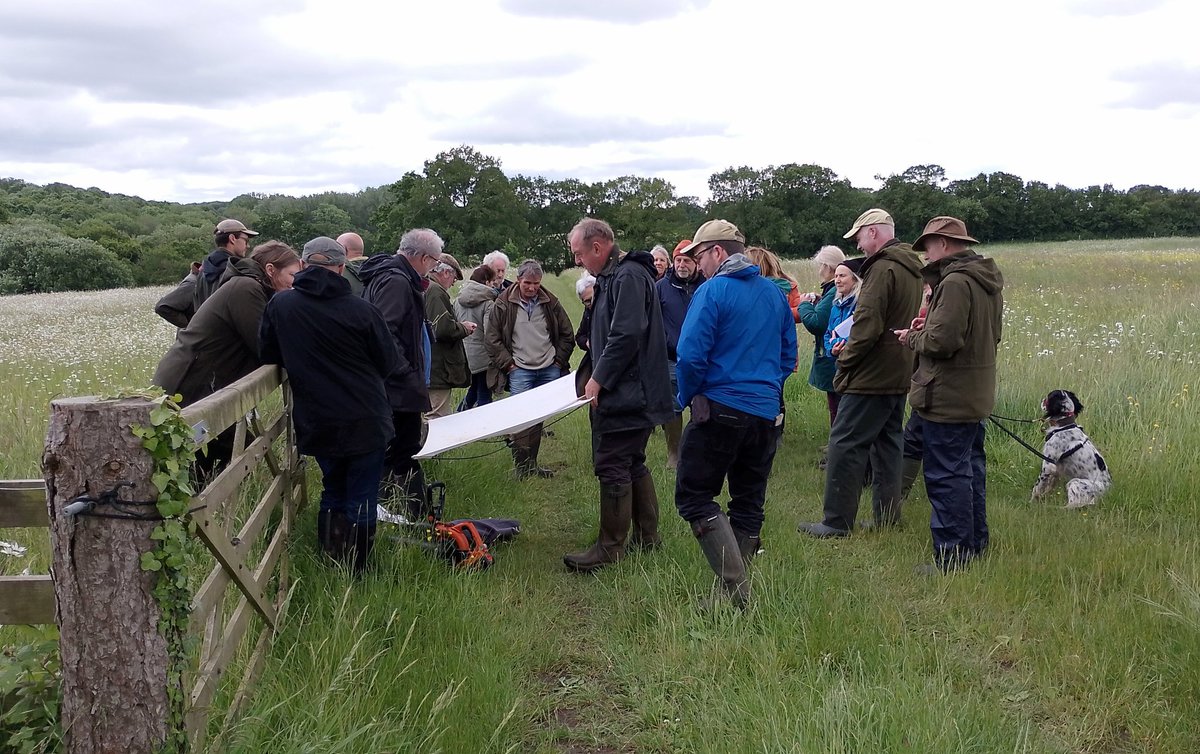 dku1000's tweet photo. Photo from a thoroughly enjoyable #WoolTownsFarmCluster joint meeting earlier this week to look at grassland recreation, ponds and invertebrates at Alphamstone. Really nice to be able to see such positive projects. @SWTWildFarms https://t.co/KkLZtwpsuP