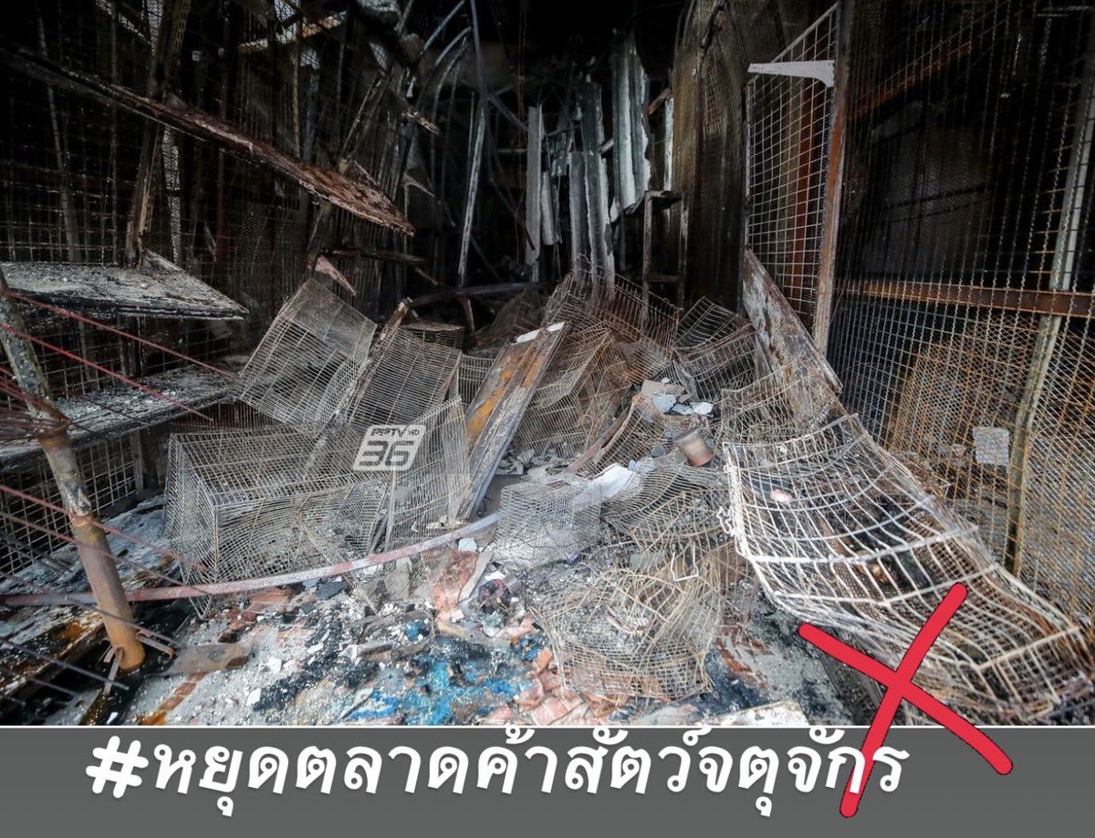#หยุดตลาดค้าสัตว์จตุจักร PLEASE SHARE