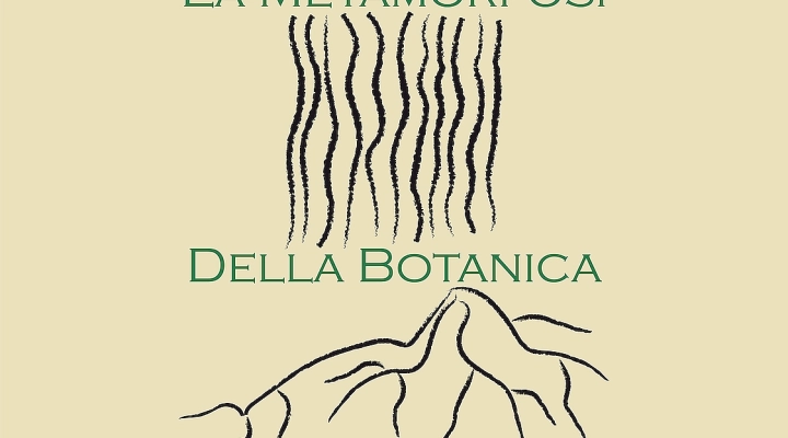 ContactAurelio's tweet photo. L’idea dell’esposizione è nata per rappresentare le diverse fasi che mutano, attraverso le dinamiche della natura, dallo stato embrionale alla sua completezza. https://t.co/E0jdqVKFUU