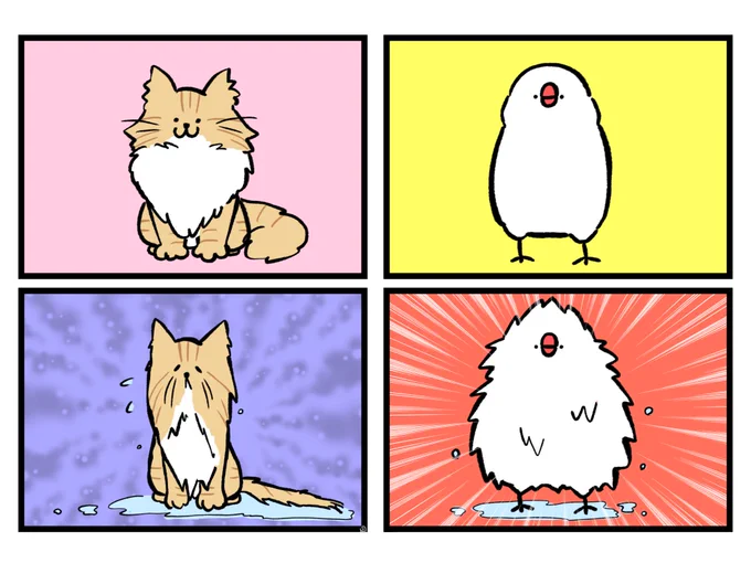 濡れたら膨らむバード文鳥 