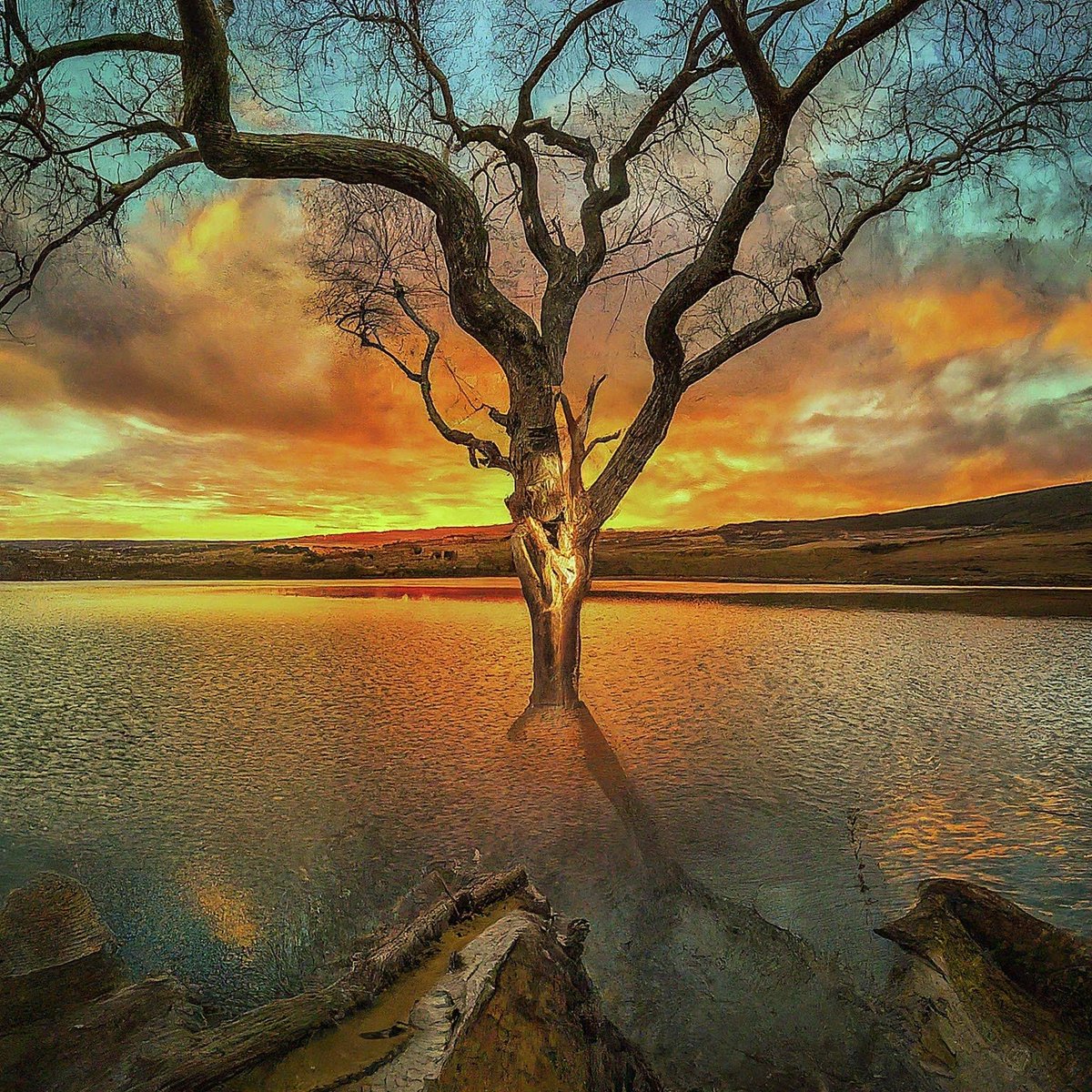 LindaLawtonDK's tweet image. Ask google Imagen:

Prompt: Create an image for the question. What is the meaning of life?

I think I can live with this.

#ai #ImagePrompt #machinelearning