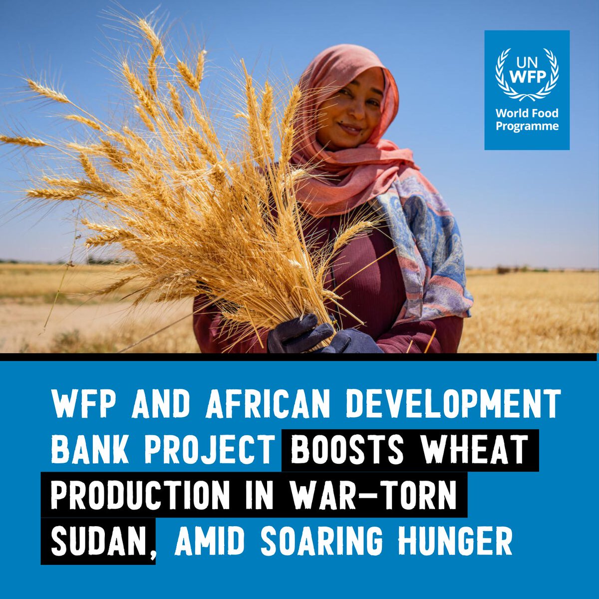 WFP Sudan tweet media