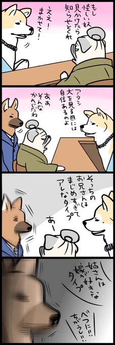 「パグ嫁と姑」第148回 激しい衝撃 