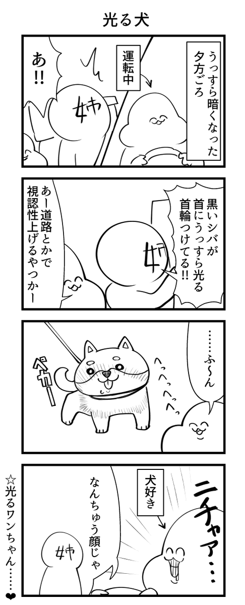 光る犬 