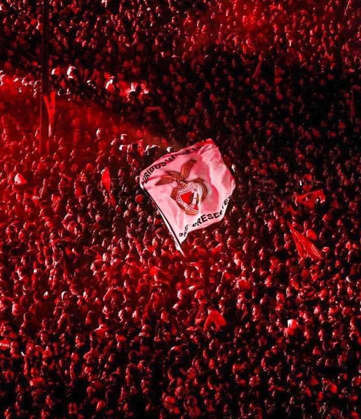 𝐒𝐋 𝐁𝐄𝐍𝐅𝐈𝐂𝐀 𝐌𝐈𝐋 𝐆𝐑𝐀𝐔 💎 (@slbmilgrau) on Twitter photo 