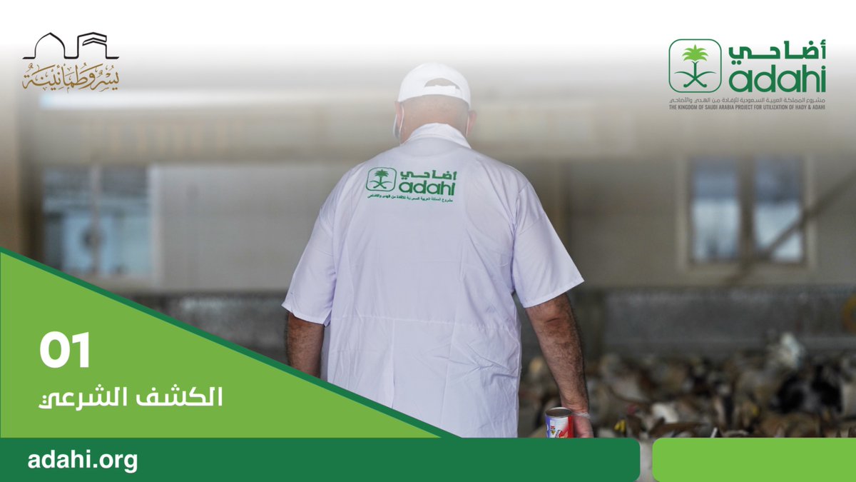 Adahi_org's tweet photo. ٧ مراحل أساسية لتنفيذ النسك

#حج  #أضحية #نسك #يسر_وطمأنينة
#adahi #hajj #makkah https://t.co/ACo6kDd2Pn