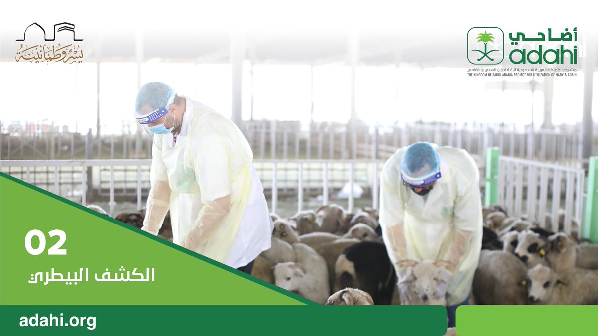 Adahi_org's tweet photo. ٧ مراحل أساسية لتنفيذ النسك

#حج  #أضحية #نسك #يسر_وطمأنينة
#adahi #hajj #makkah https://t.co/ACo6kDd2Pn