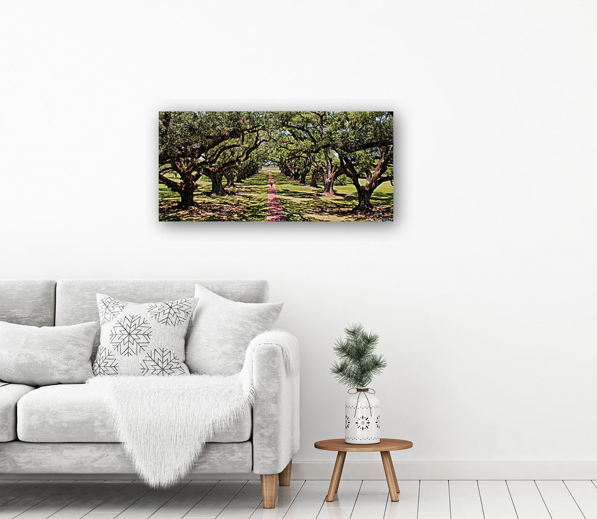 Judy Vincent Photography tweet media