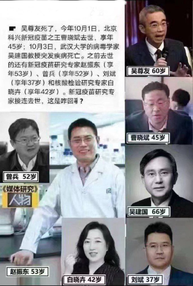 婉清 tweet media
