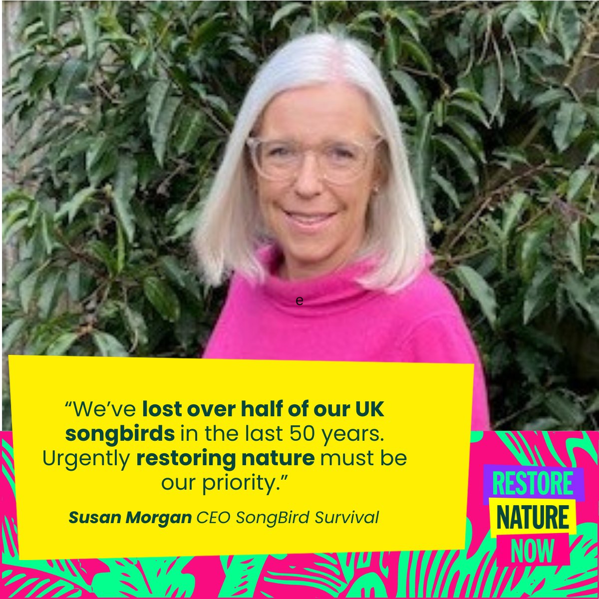 SongBirdSBS's tweet photo. We are an official supporter of the  #RestoreNatureNow march in London on 22 June. 🐦🦋🌳🐝 
We are fighting for a better future for UK songbirds. Songbirds respond quickly to changes in the environment, so act as our early warning system.  #WildWednesday #ThinkBirds #Songbird https://t.co/RlUfFz8jXH