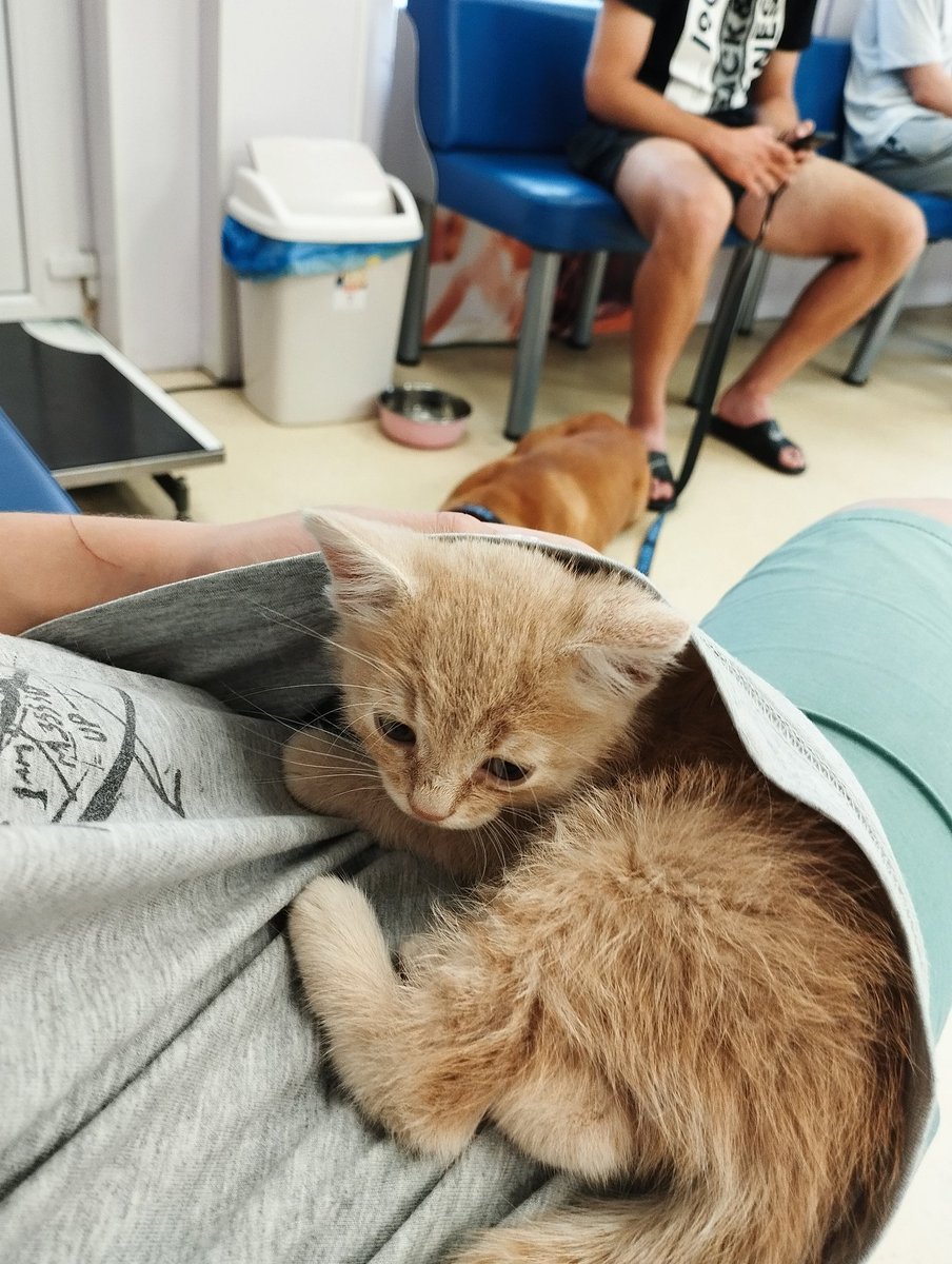 Приехали в ветелинку на check up..