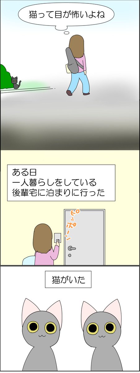 猫を触ると死にかけてたけど、猫アレルギーじゃなかった話 3/3 