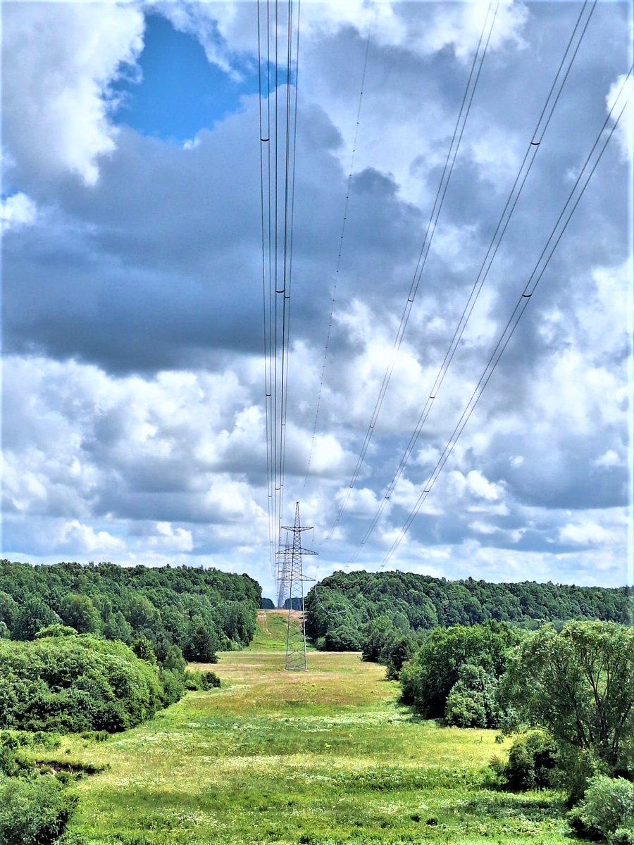 CINEA 🇪🇺 tweet media