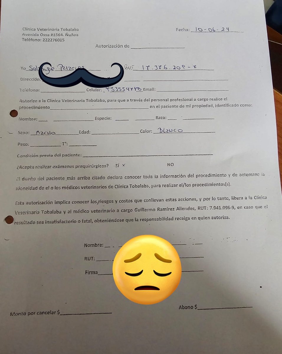 sol_palacios_m's tweet photo. Indiferente ante todo el mundo💔😔 le cortaron su orejita y le pegaron una patada. Lo fui a buscar y esta hospitalizado no podia dejarlo asi💔, tiene Fractura Sinfisis Mandibular, necesita cirugía urgente 🥺
Solange Palacios
Banco estado
Cuenta rut
17376209-7 https://t.co/fVv4FBcOBV
