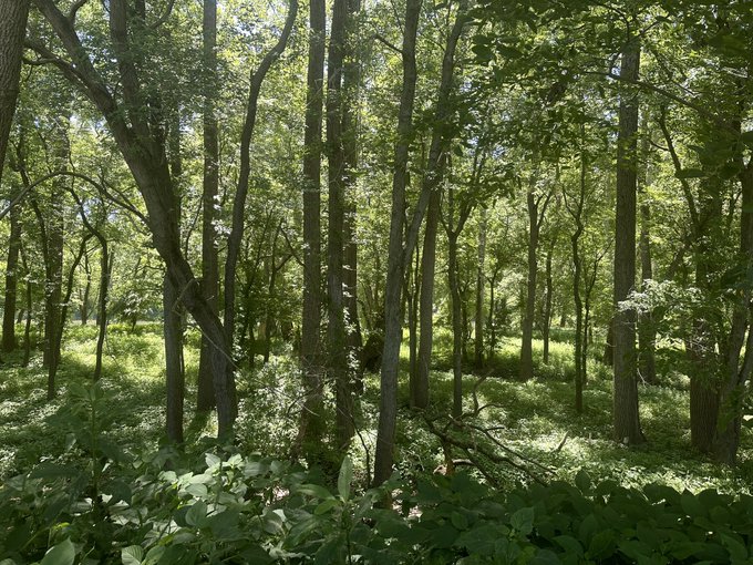 Your view and my view https://t.co/O4BjLBLP4q<a href="/tag/mvsales"class="tags"><span>#mvsales</span></a>