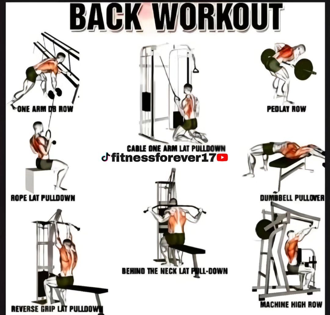 LannaEve2's tweet photo. Back Workout

#backworkouts #backworkout #backworkouttips #backworkoutroutine https://t.co/HanuYkRNsD
