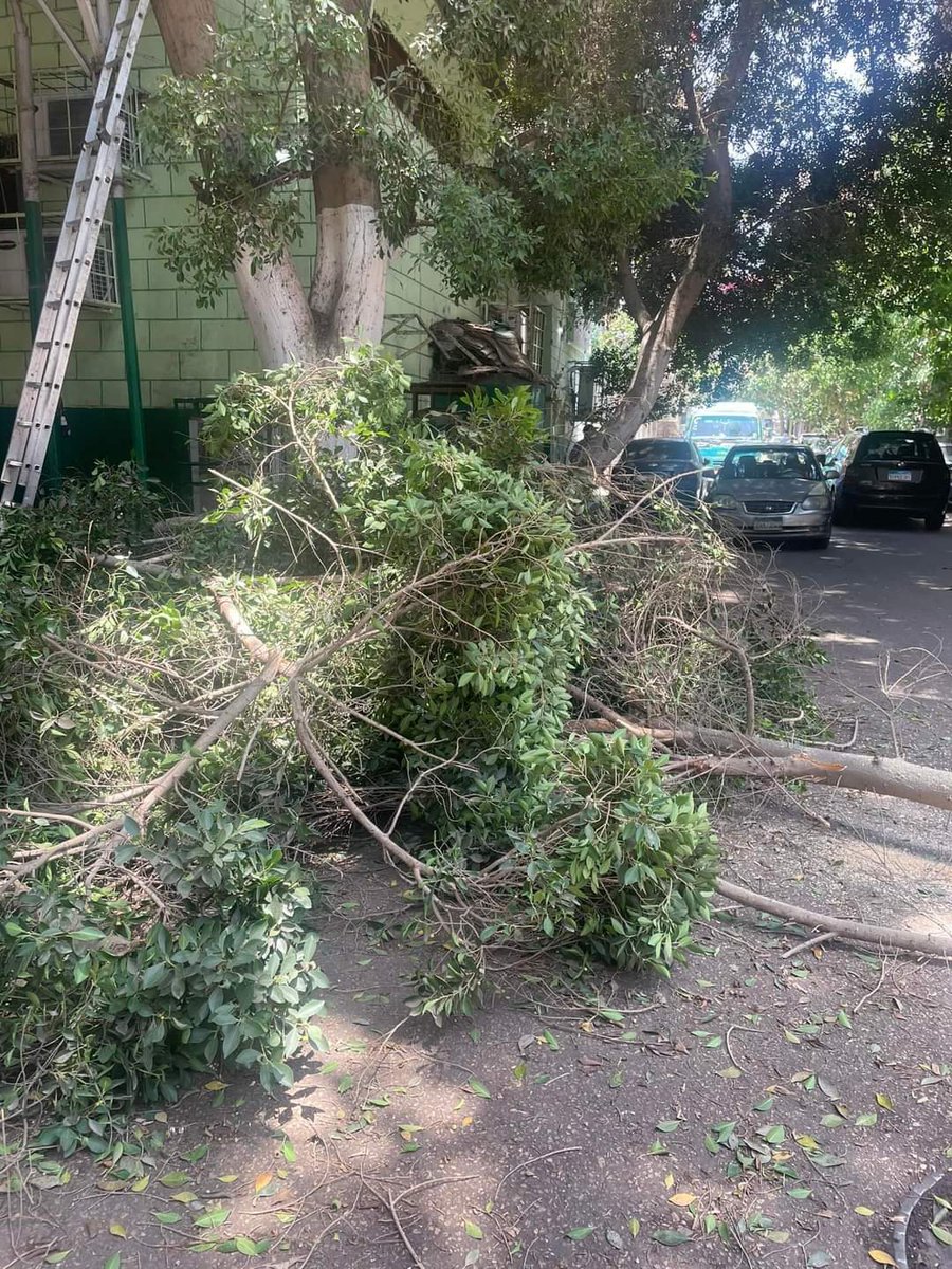 AhmaMahgub's tweet photo. يا شباب #UN_Environment منشنوا 
صفحة برنامج الامم المتحده ده@UNEP وحطوا صور
كل قطع الاشجار في مصر عشان
احنا بنطالب بشكوي
لـ برنامج الامم المتحده لـ وقف اي تمويل لـ مصر
نظرا لـ قطع الاشجار في جميع انحاء مصر #السيسي_بيمسح_تويتاته دي صور من شوارع شبرا https://t.co/e0H9gFYgv2