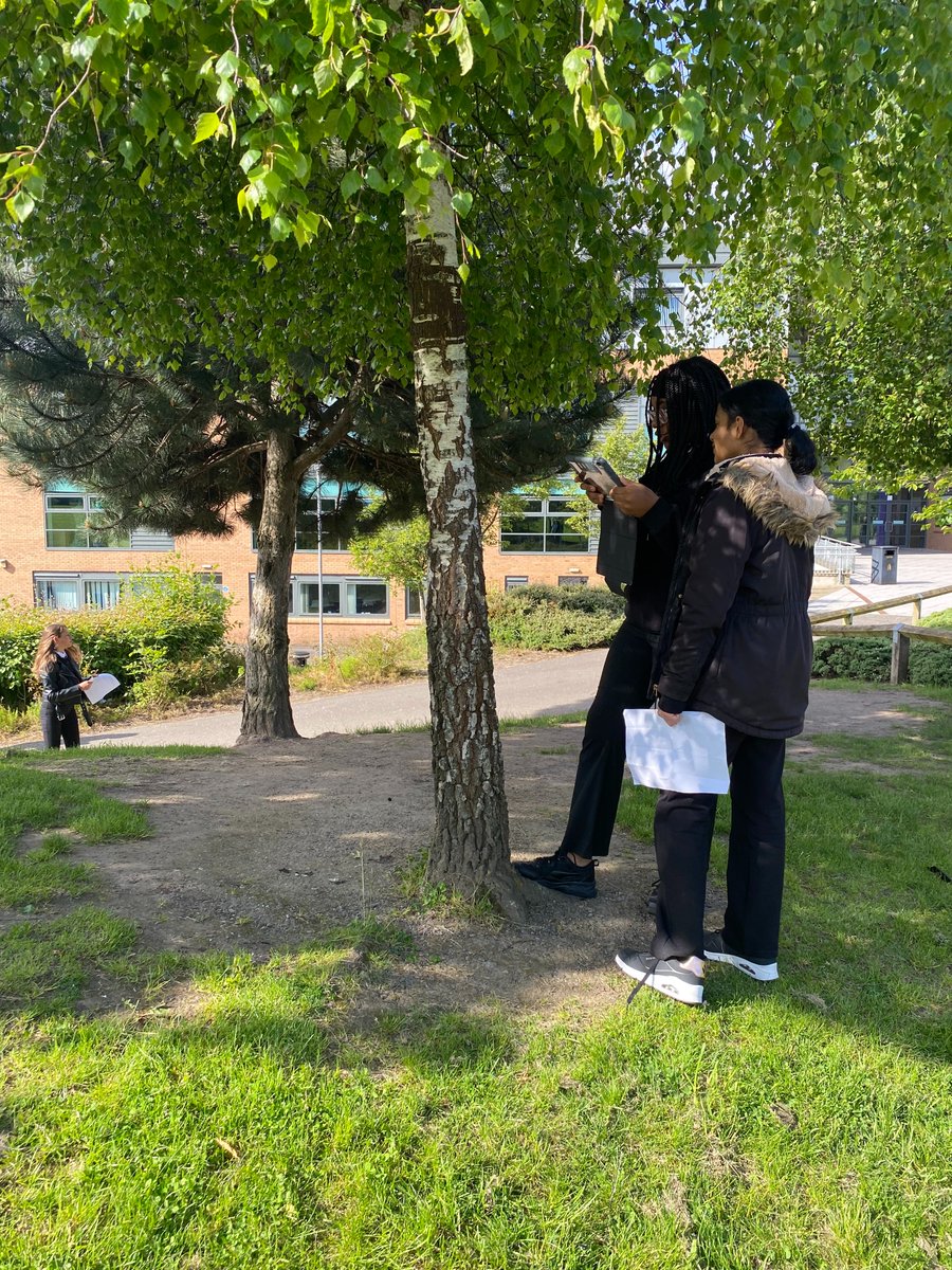 Holy Rood Languages tweet media