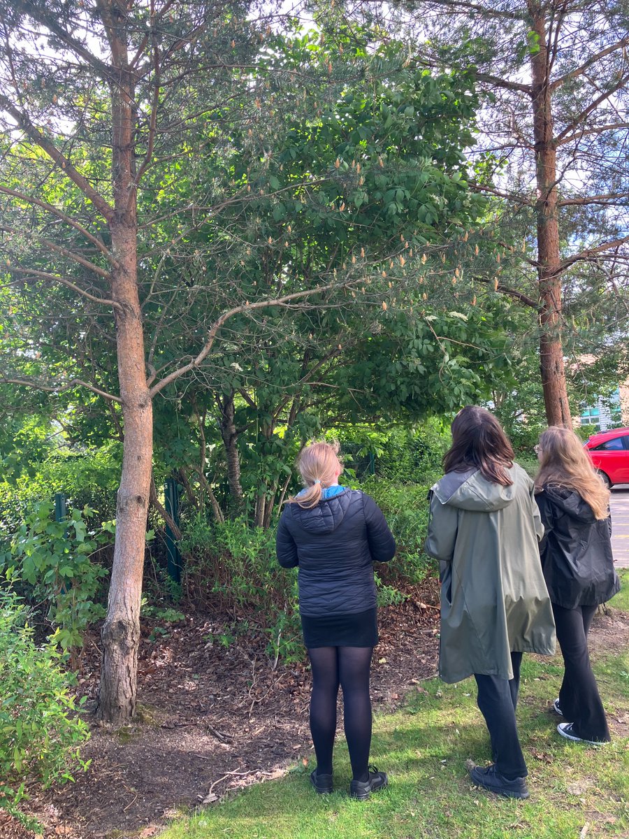 Holy Rood Languages tweet media