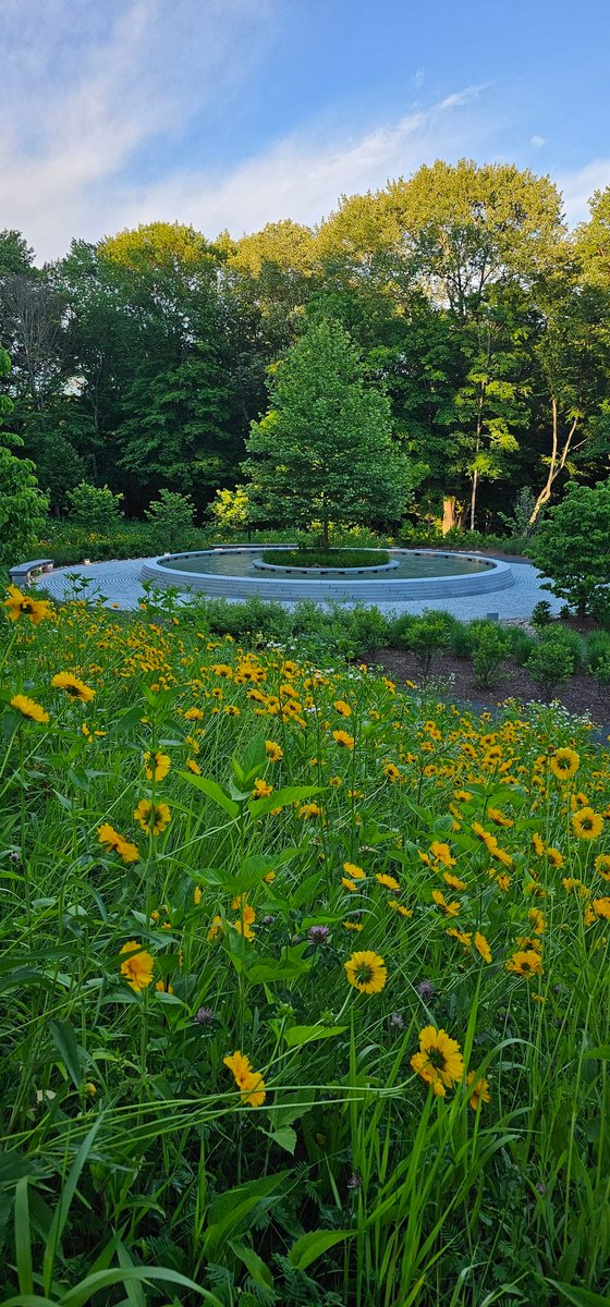 EmbreeKu's tweet image. In my heart today - the 20 graduates who will not walk across the stage today.