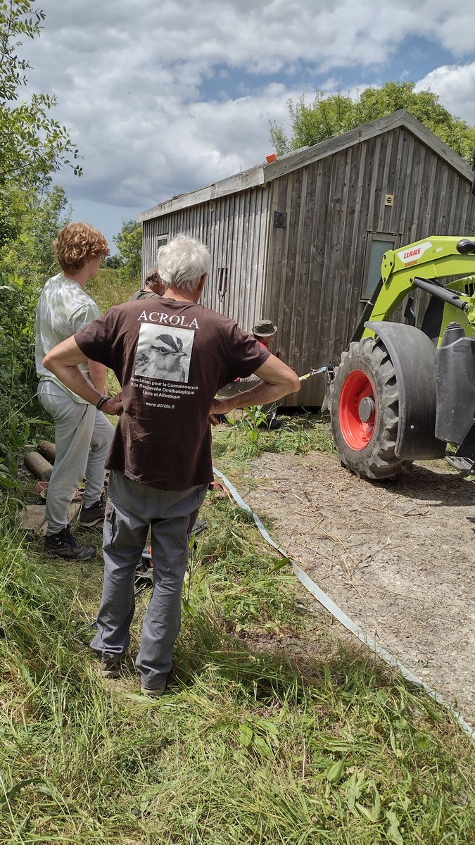 EugeneBirds's tweet photo. Trying to rescue one of ACROLA's  ringing buildings which ended up half in a ditch in its winter quarters due to  a storm and  x-high spring tides. Deft work by Angelique and her tractor and we eventually succeeded ! Still lots of repairs to do before mid-July though 🫤  #acrola https://t.co/ZGU658RcMh