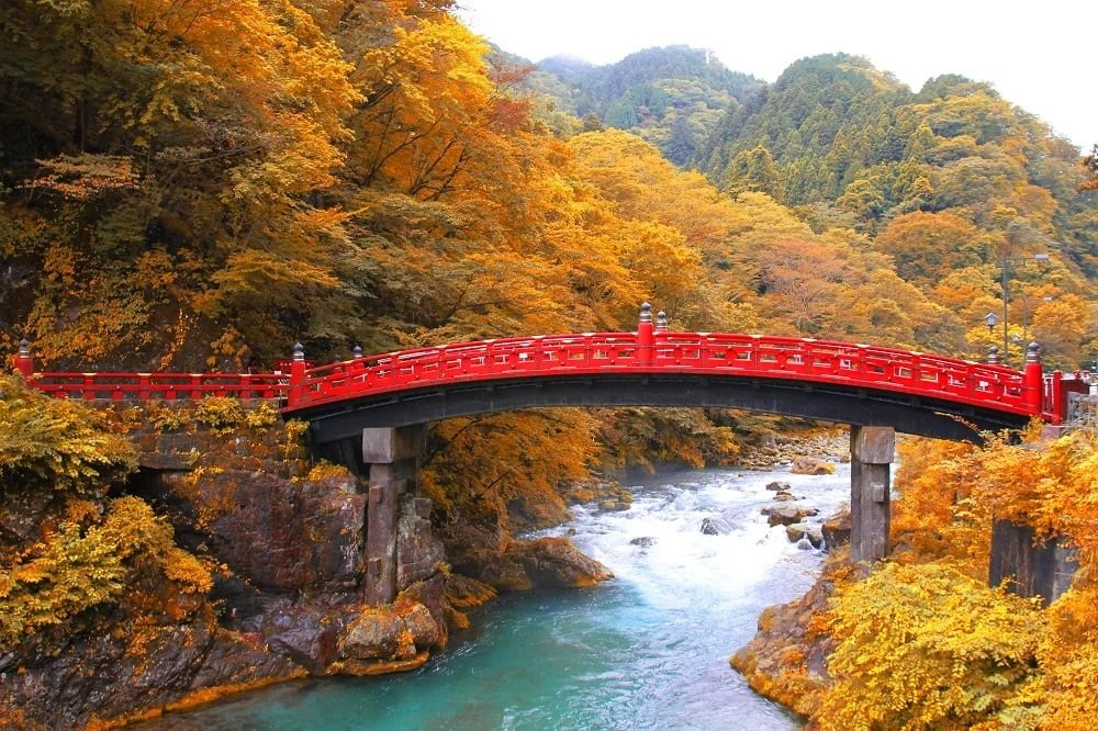 viajepatrimonio's tweet photo. País de fuertes contrastes y muchos matices, tradición y modernidad se funden aquí como en muy pocos países.

Hoy arranca #PatrimonioEnfocado con 10 lugares de JAPÓN viajando por templos, bosques, volcanes, castillos… https://t.co/zyJap3KZco