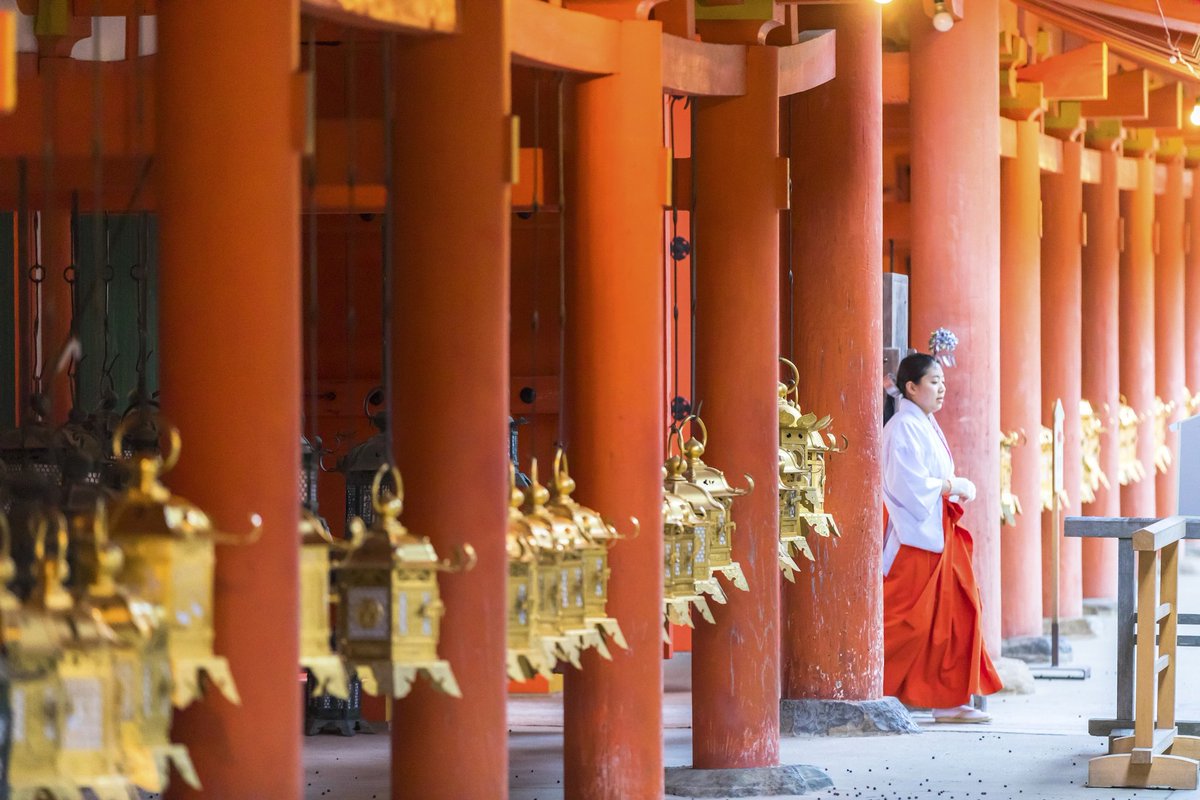 viajepatrimonio's tweet photo. País de fuertes contrastes y muchos matices, tradición y modernidad se funden aquí como en muy pocos países.

Hoy arranca #PatrimonioEnfocado con 10 lugares de JAPÓN viajando por templos, bosques, volcanes, castillos… https://t.co/zyJap3KZco