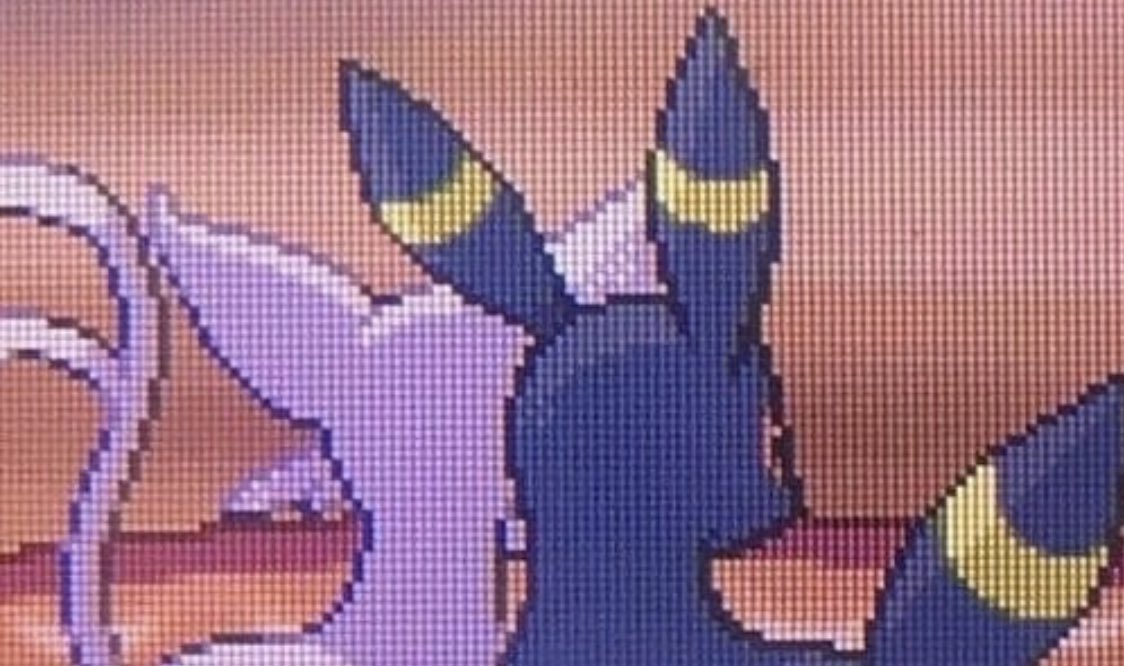 sinnoh_CEO's tweet photo. this could be us https://t.co/WX8AIpOE9n